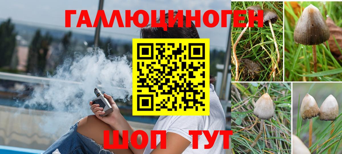 купить наркоту  Псилоцибиновые грибы ЛСД  Вход с VPN  Сатка 